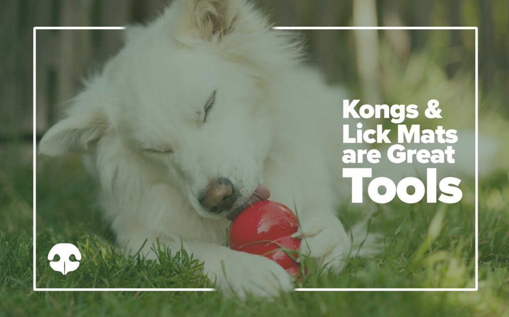 Kongs and Lick Mats for Dogs are great tools